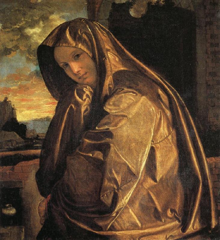 Giovanni Gerolamo Savoldo Mary Magdalen oil painting image